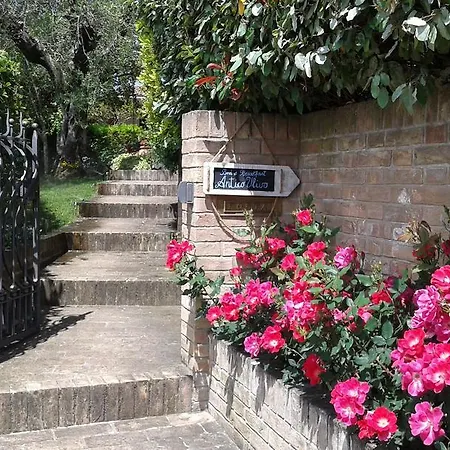 Bed and breakfast Antico Ulivo