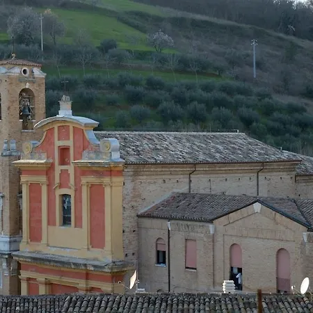 Antico Ulivo * Calcinelli