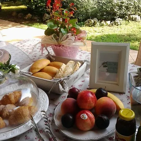 Antico Ulivo * Calcinelli