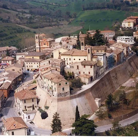 Antico Ulivo