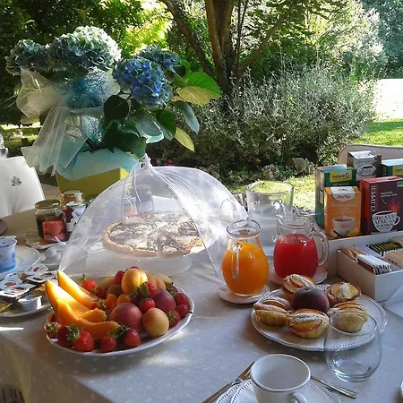 Bed and breakfast Antico Ulivo